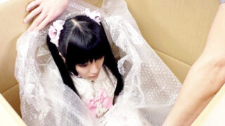 リアルラブドールを自由にいじり、中出し。