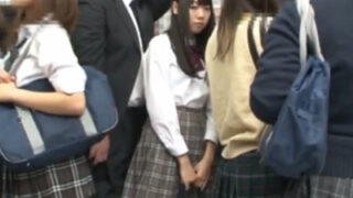 変態男がJKだらけの電車で痴漢し、トイレで好きな娘と激しくセックス。