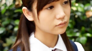 ご令嬢学校に通うお嬢様JKが、帰宅途中でストーカーに拉致られ、強制的に性的な行為を受けさせられる悲劇を描いた作品。