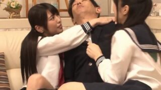 久しぶりに会った親戚の姉妹が、お兄ちゃんと3Pする作品