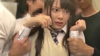 集団痴漢に襲われたJKが車で外へ連れ出され、公衆便所に連行される。