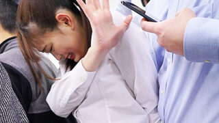 危険日ジャストのJKが痴漢に襲われ、バックで中出しされる