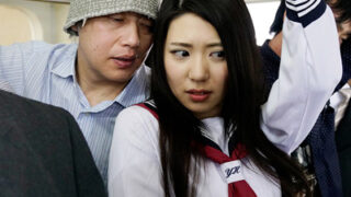 高潔女子アナウンサーが痴漢の快楽に堕ちた。