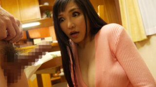 マサオ君と欲求不満な姉ちゃんのHな留守番