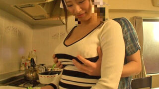 トド家政婦を愛するおっぱい好きのショウタがエッチないたずらをする
