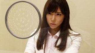 逆上した被告に法廷でレイプされ号泣する女性弁護士