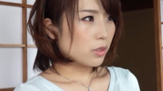 介護中の義父と禁断の関係を結び、子孫を求める背徳妻の物語。