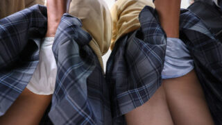 2人が同時に痴漢に襲われ、凌辱調教を受けて従順なペットに変わる仲良し女子校生の物語
