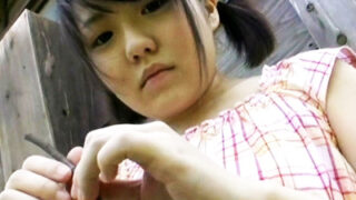 公園で少女をレイプしたロリコン変質者