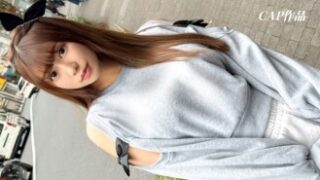 FCT-192の副題「すい」