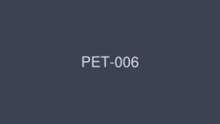 2015年後半のPET‑006プレステージ完全コンプリート作品に登場するあやみ旬果
