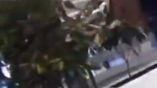 即チンポ見せつけナンパ女性の反応を検証する企画