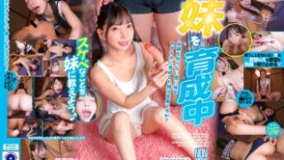TSF：妹を肉体的オナホールに育成した俺は変態か？ 冬愛ことね