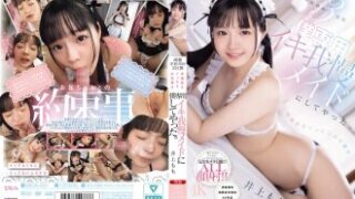 両親が不在の3日間、早漏の妹に対して性的な行為をしたところ、罰として「僕専用のイキ我慢メイド」にされるという内容。