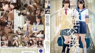 T28-542 姪交換～2人の叔父による調教姪っ子交換記録～瀬名きらり・御坂りあ