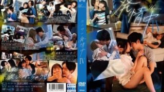 明海こうが四六時中発情中IVに登場